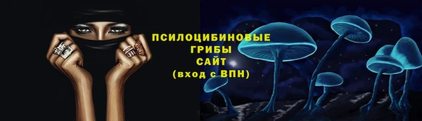 герыч Бородино