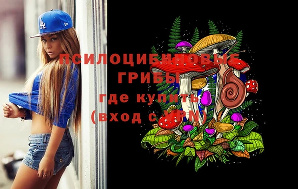 герыч Бородино