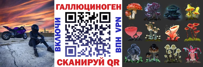 хочу наркоту  Видное  kraken онион  Галлюциногенные грибы Psilocybine cubensis 